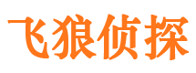 颍东外遇出轨调查取证